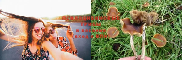 мдма Тавда