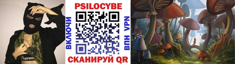 купить наркотик Вязьма Галлюциногенные грибы Magic Shrooms